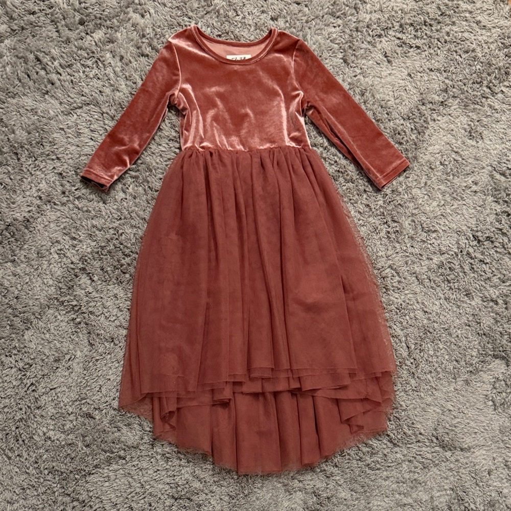 Taylor Joelle Velvet and Tulle Long Sleeve Dress